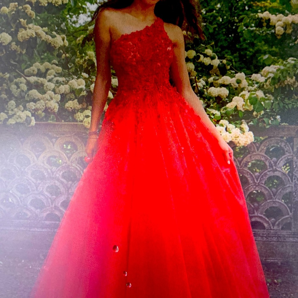 Quinceanera or prom dress! A stunning gown!
